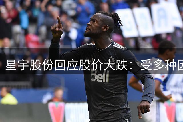 星宇股份回应股价大跌：受多种因素影响，将择机实施回购